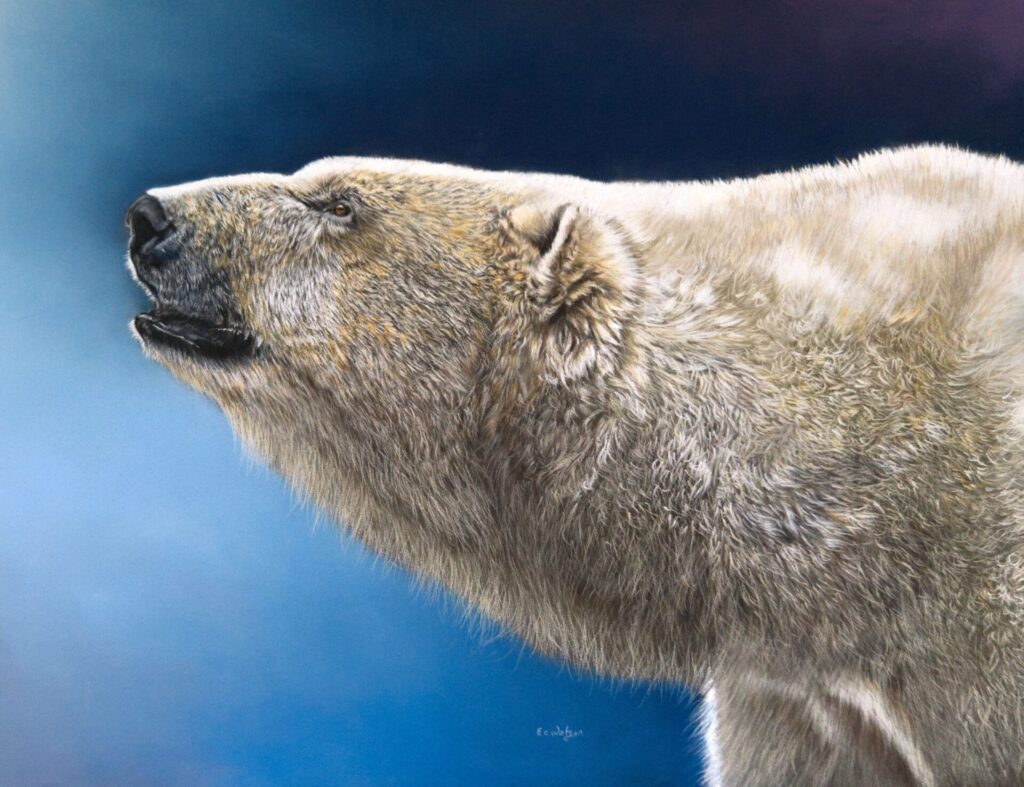 Pastel and Mixed medium painting of Polar Bear, vulnerable and decreasing