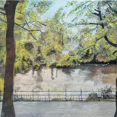 Artwork by Tracey Mirrelson: Oil Painting Swans in Worcester