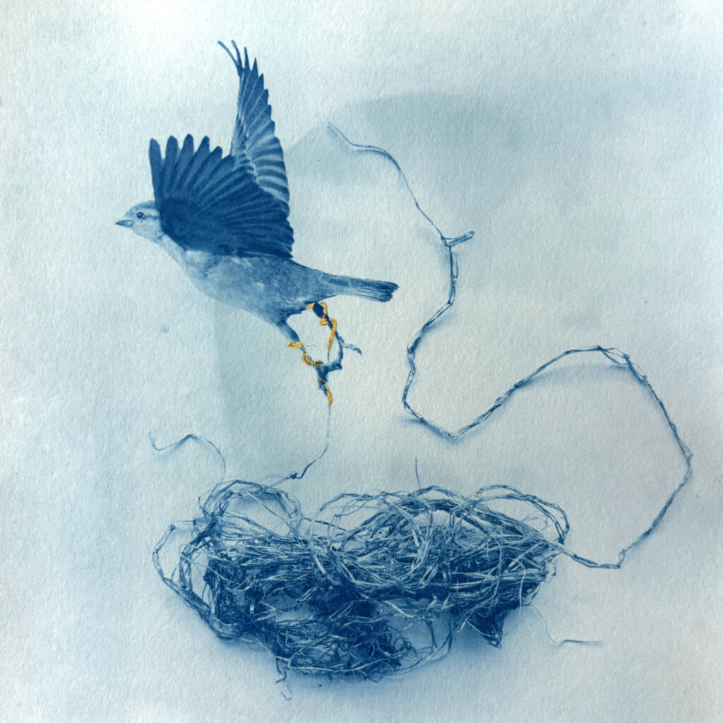 A small bird has gold thread wrapped round its feet as it tries to fly away from plastic baling rope