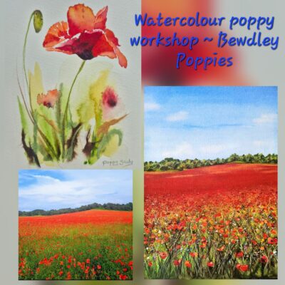Bewdley Poppies Watercolour workshop
