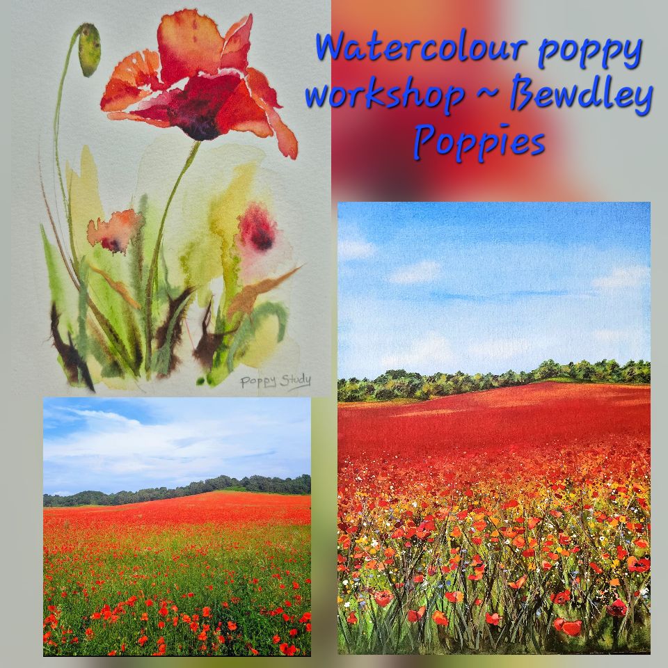 Bewdley Poppies Watercolour workshop