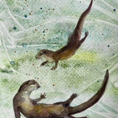 Otter Encounter 3 week course