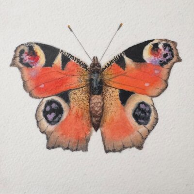 Watercolour Buttweflies