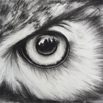 Youth - Charcoal Owl