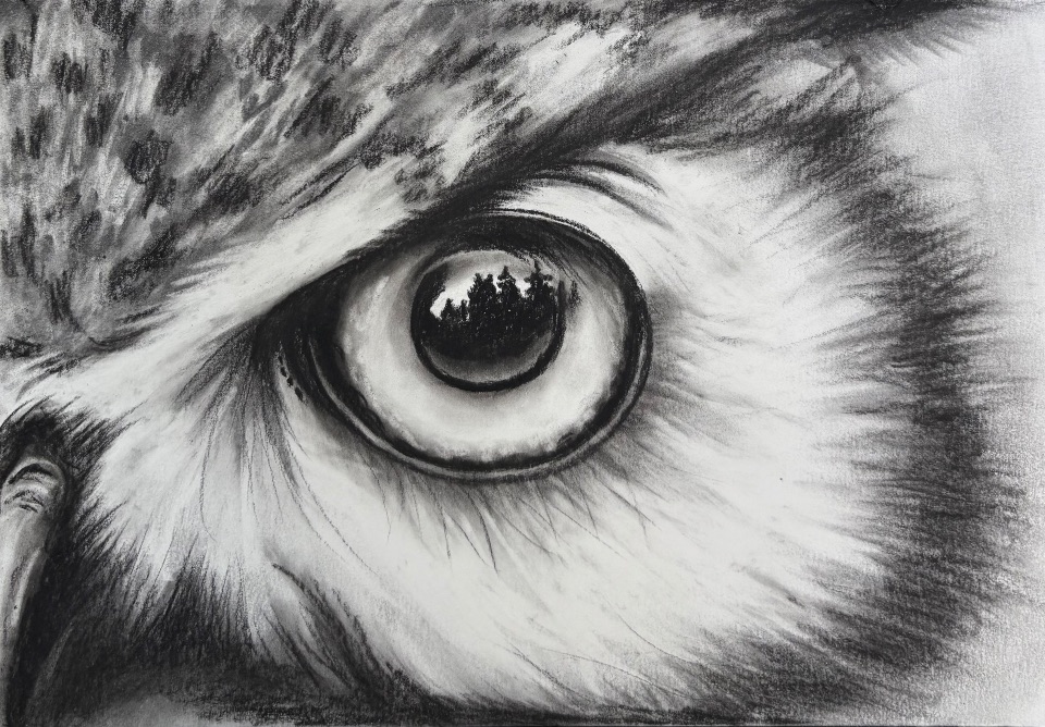 Youth - Charcoal Owl