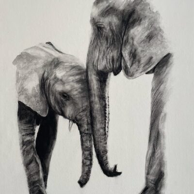 Paint with Charcoal - Create an image of a mother elephant and her calf with just water and charcoal powder