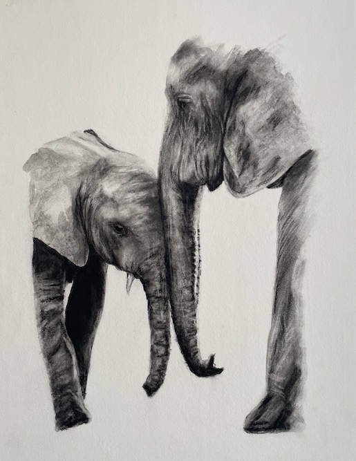 Paint with Charcoal - Create an image of a mother elephant and her calf with just water and charcoal powder