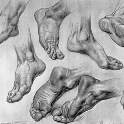 Lets learn how to draw feet.