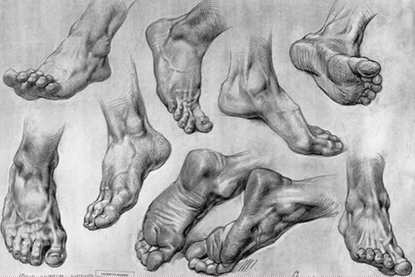 Lets learn how to draw feet.