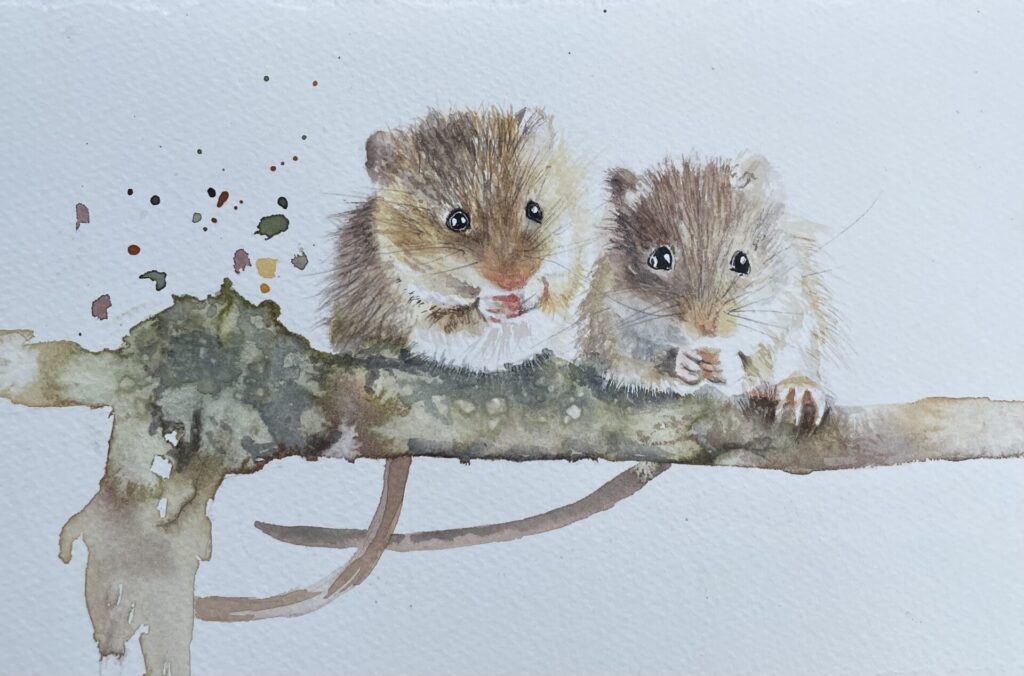 watercolour Field Mice