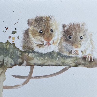 watercolour Field Mice