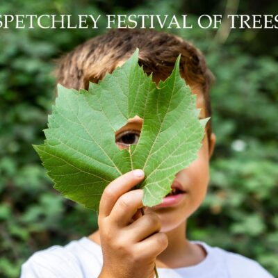 Spetchley Festival of Trees